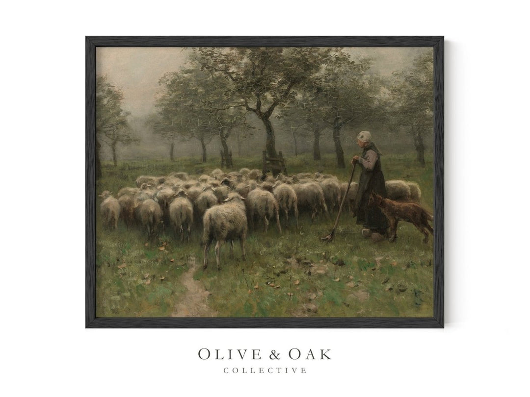 469. SHEPHERDESS - Olive & Oak Collective