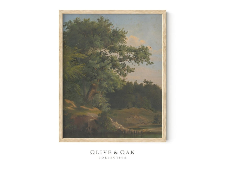 47. OLD OAK - Olive & Oak Collective