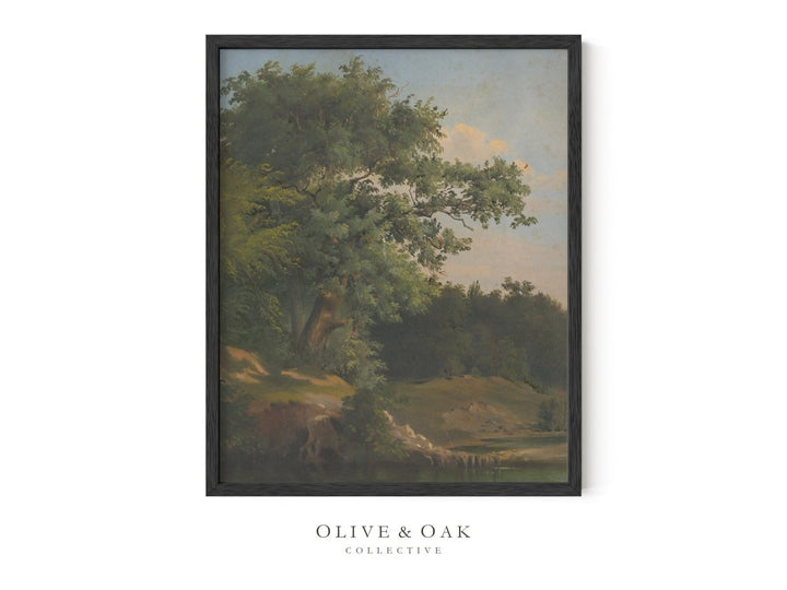 47. OLD OAK - Olive & Oak Collective