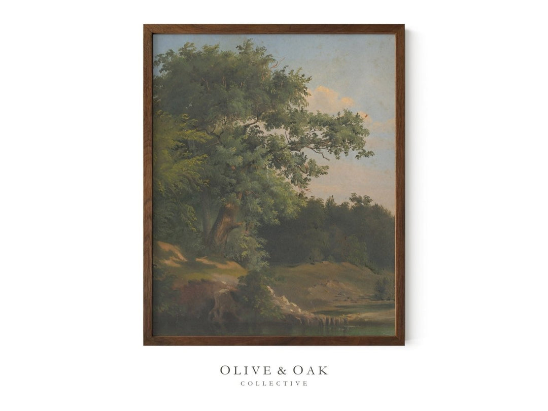 47. OLD OAK - Olive & Oak Collective