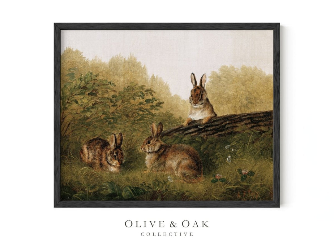 472. LAPIN - Olive & Oak Collective