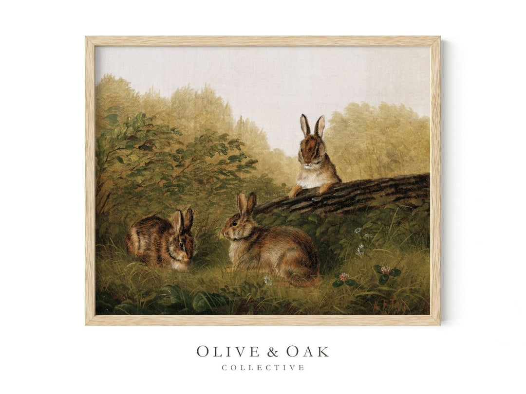 472. LAPIN - Olive & Oak Collective