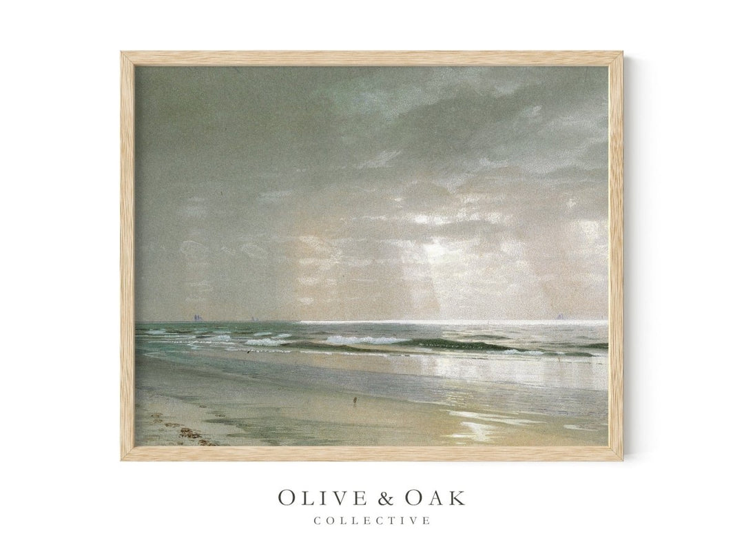 476. OCEAN - Olive & Oak Collective