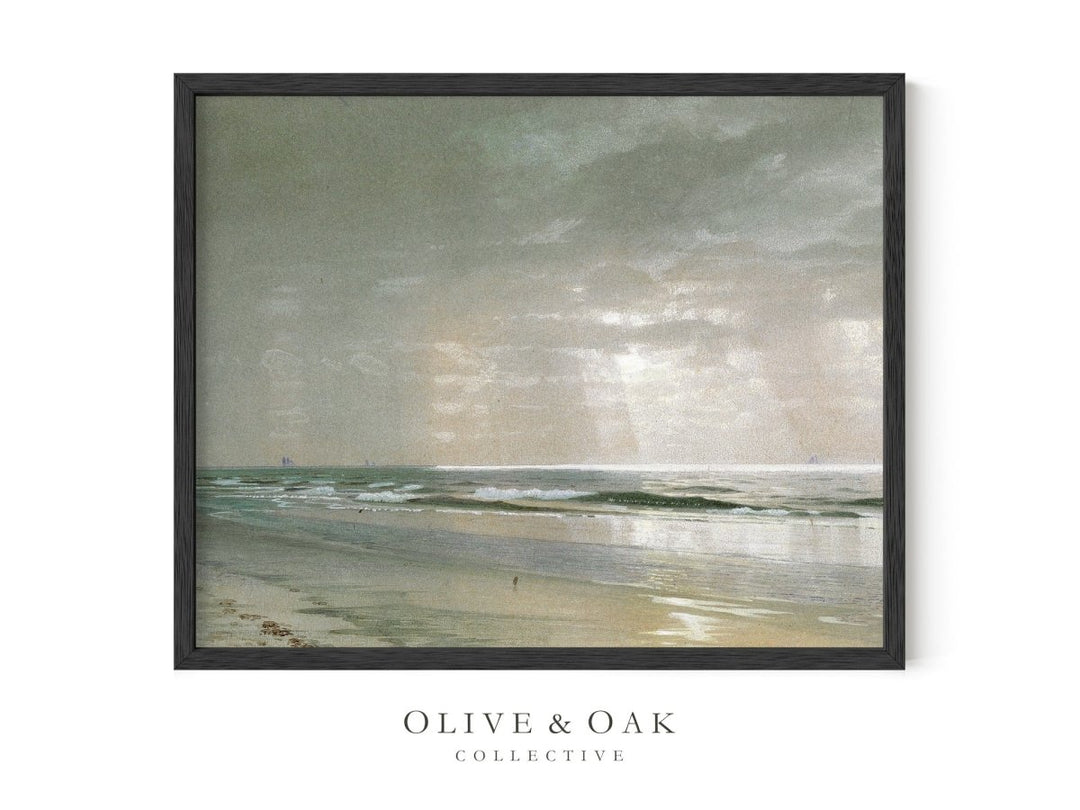 476. OCEAN - Olive & Oak Collective