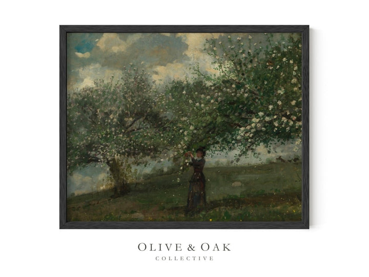 48. APPLE BLOSSOMS - Olive & Oak Collective