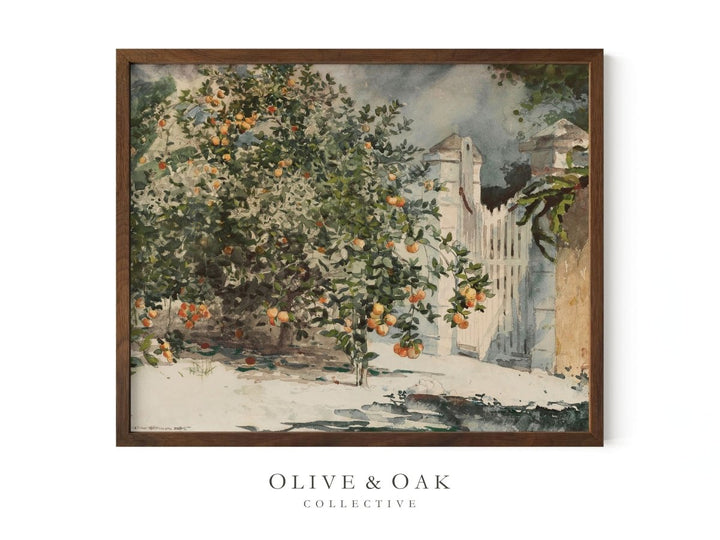 480. SPANISH GATE - Olive & Oak Collective