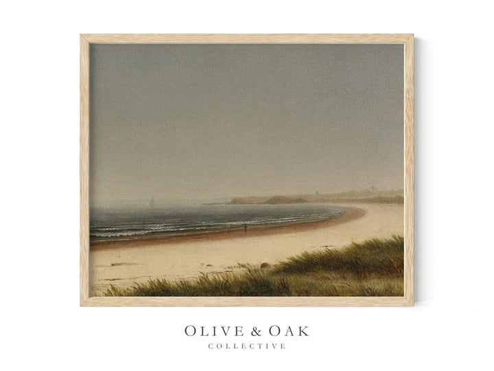 484. NEWPORT - Olive & Oak Collective