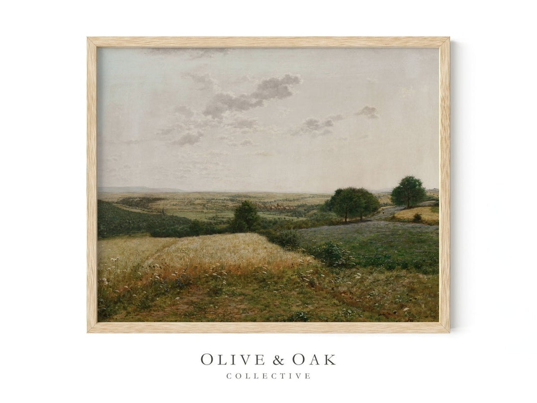 489. MIDSUMMER I - Olive & Oak Collective