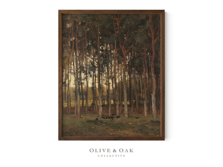 501. EVENING GLOW - Olive & Oak Collective