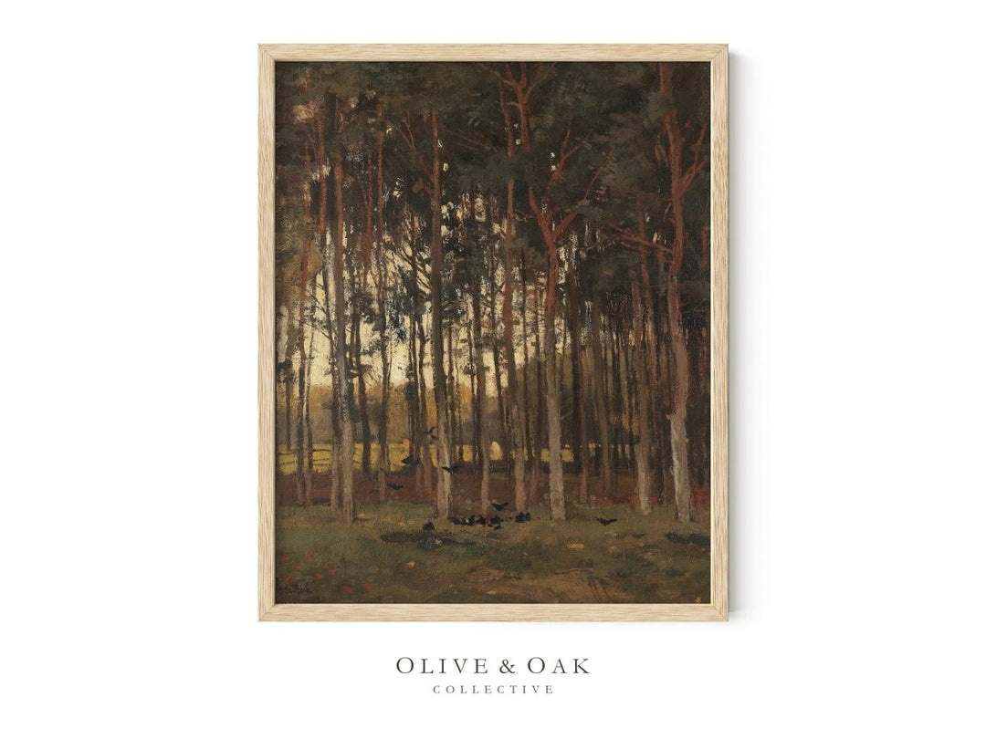 501. EVENING GLOW - Olive & Oak Collective