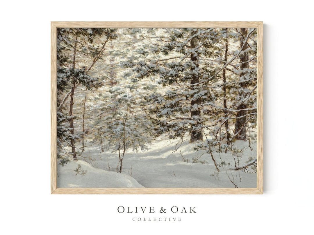 506. WINTER FOREST - Olive & Oak Collective