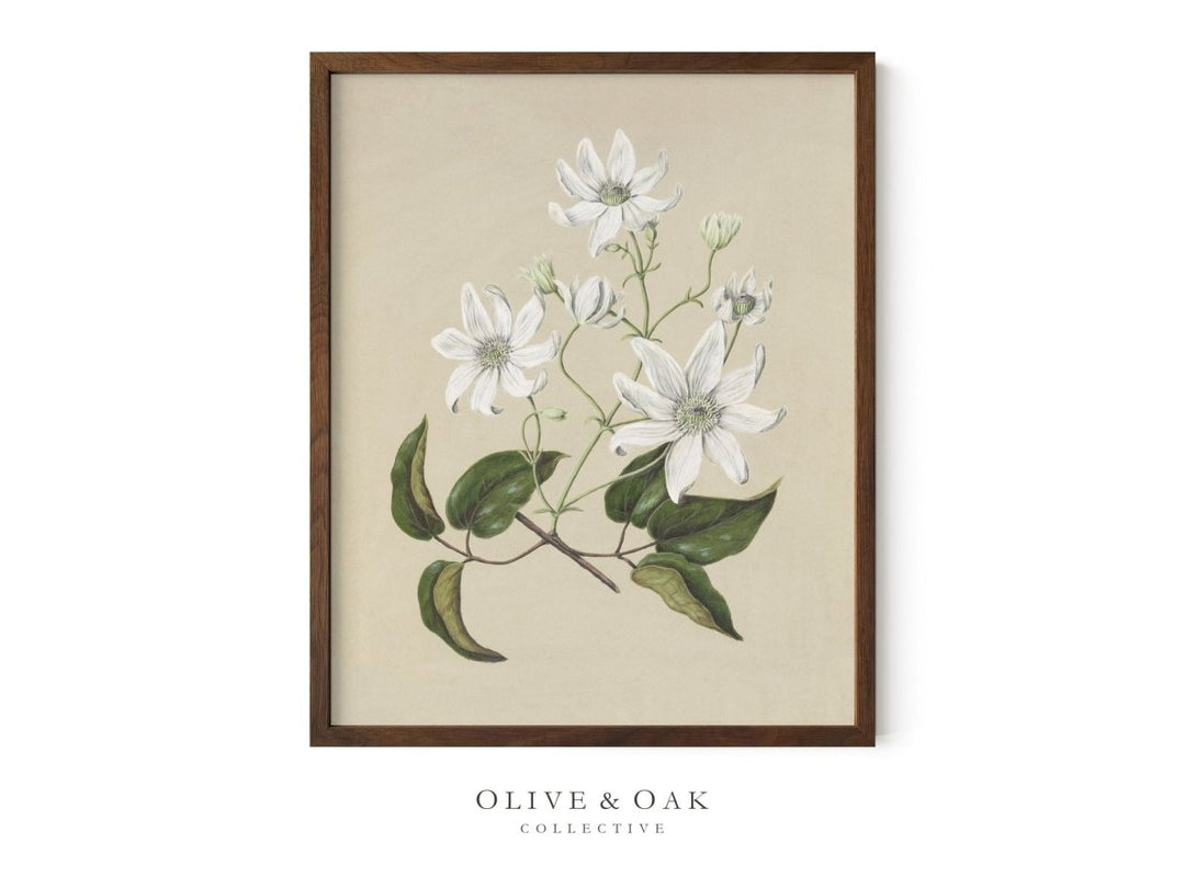 517. BOUQUET I - Olive & Oak Collective