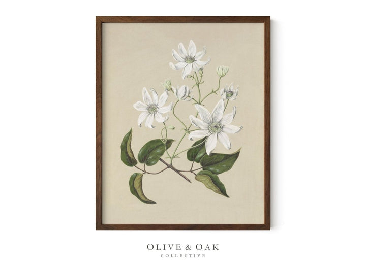 517. BOUQUET I - Olive & Oak Collective