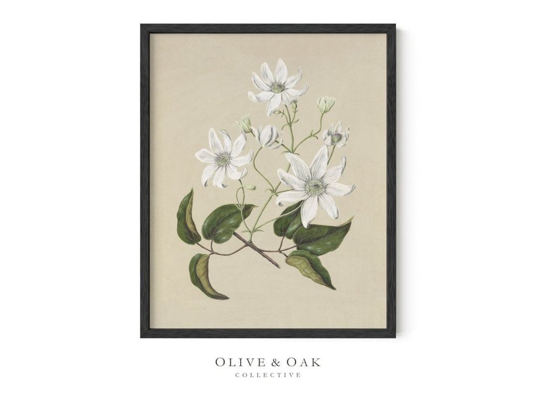 517. BOUQUET I - Olive & Oak Collective