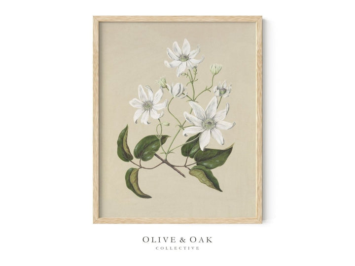 517. BOUQUET I - Olive & Oak Collective