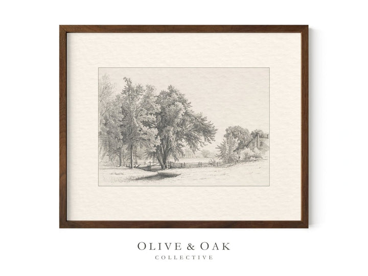 522. HOMESTEAD II - Olive & Oak Collective