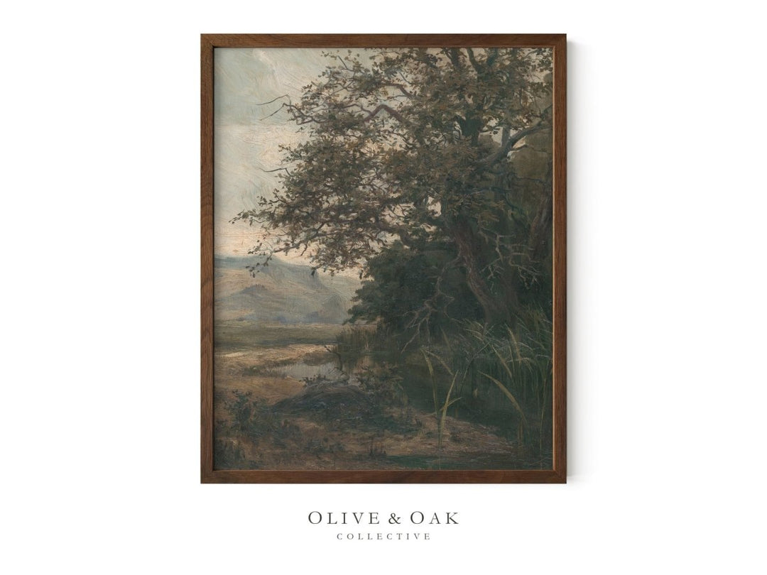 530. STREAM - Olive & Oak Collective