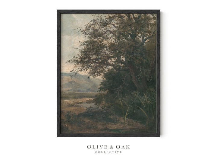 530. STREAM - Olive & Oak Collective