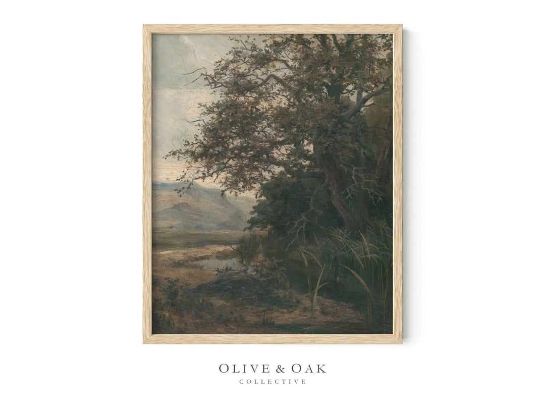 530. STREAM - Olive & Oak Collective