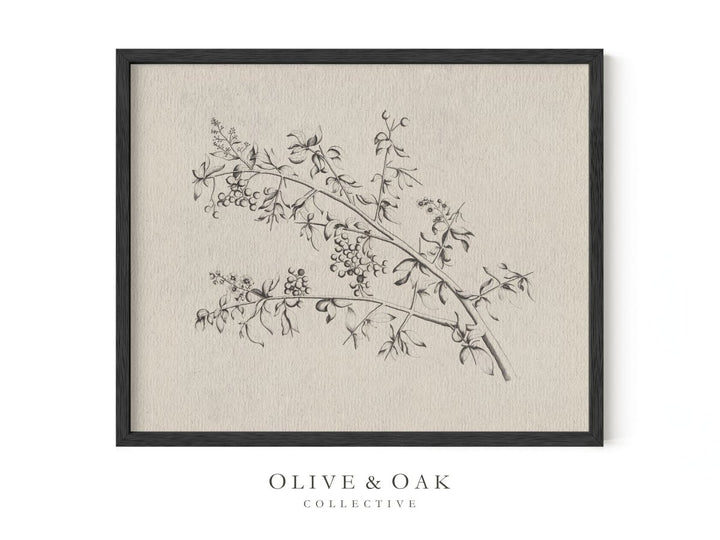 532. BERRY BRANCH - Olive & Oak Collective