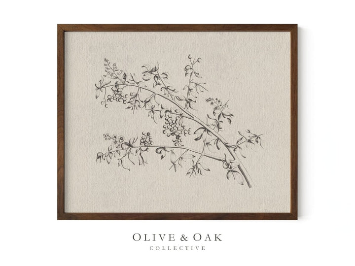 532. BERRY BRANCH - Olive & Oak Collective