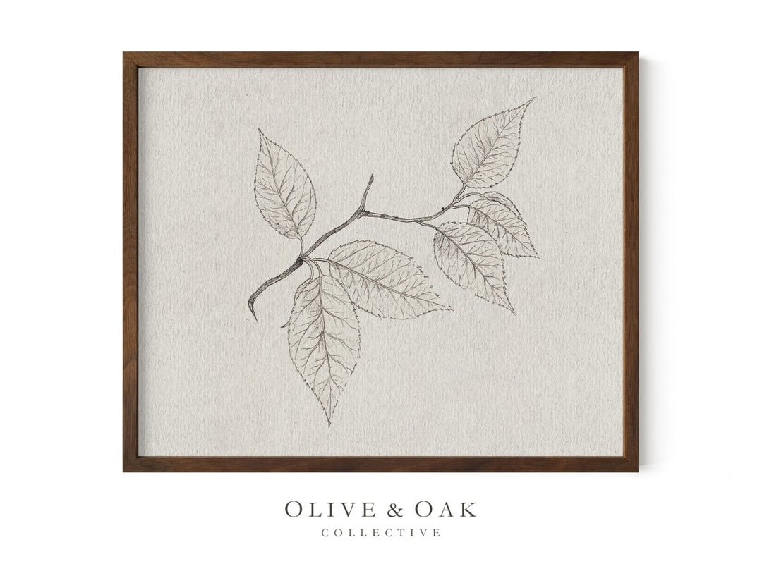 533. CHERRY BRANCH - Olive & Oak Collective