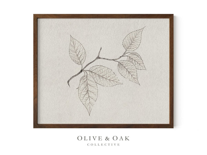 533. CHERRY BRANCH - Olive & Oak Collective