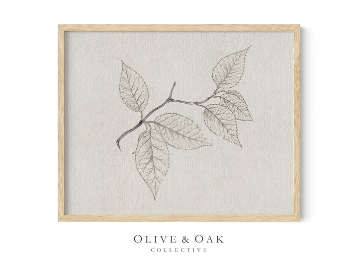 533. CHERRY BRANCH - Olive & Oak Collective