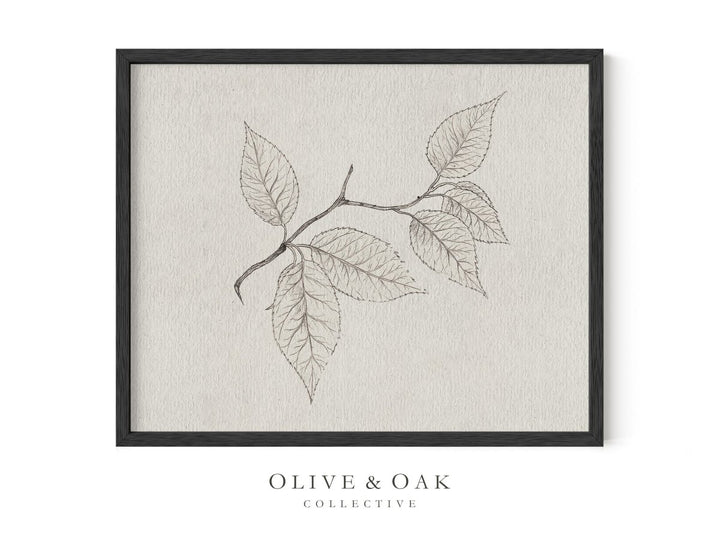 533. CHERRY BRANCH - Olive & Oak Collective