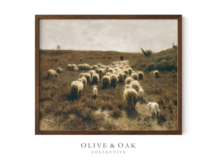 544. HOMEWARD - Olive & Oak Collective