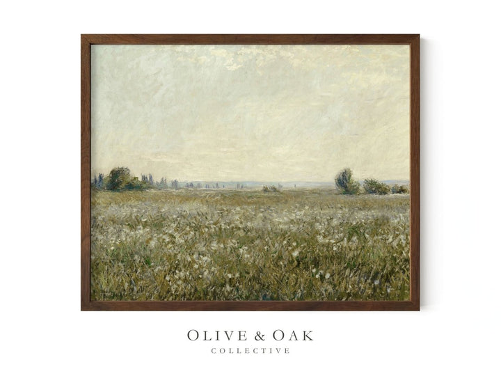 551. WHITE POPPIES - Olive & Oak Collective
