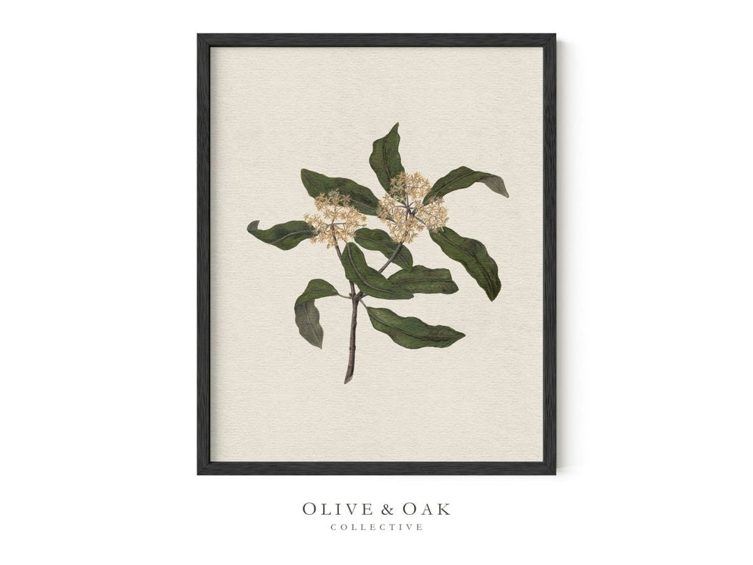 555. WILDFLOWERS I - Olive & Oak Collective