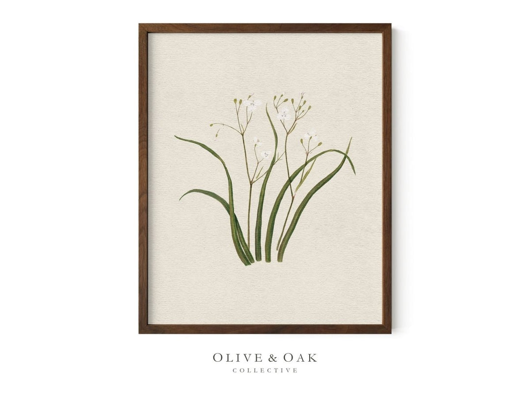 556. WILDFLOWERS II - Olive & Oak Collective