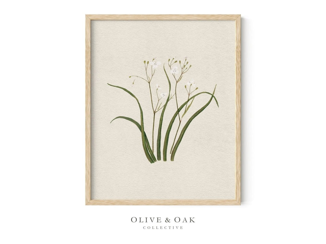 556. WILDFLOWERS II - Olive & Oak Collective