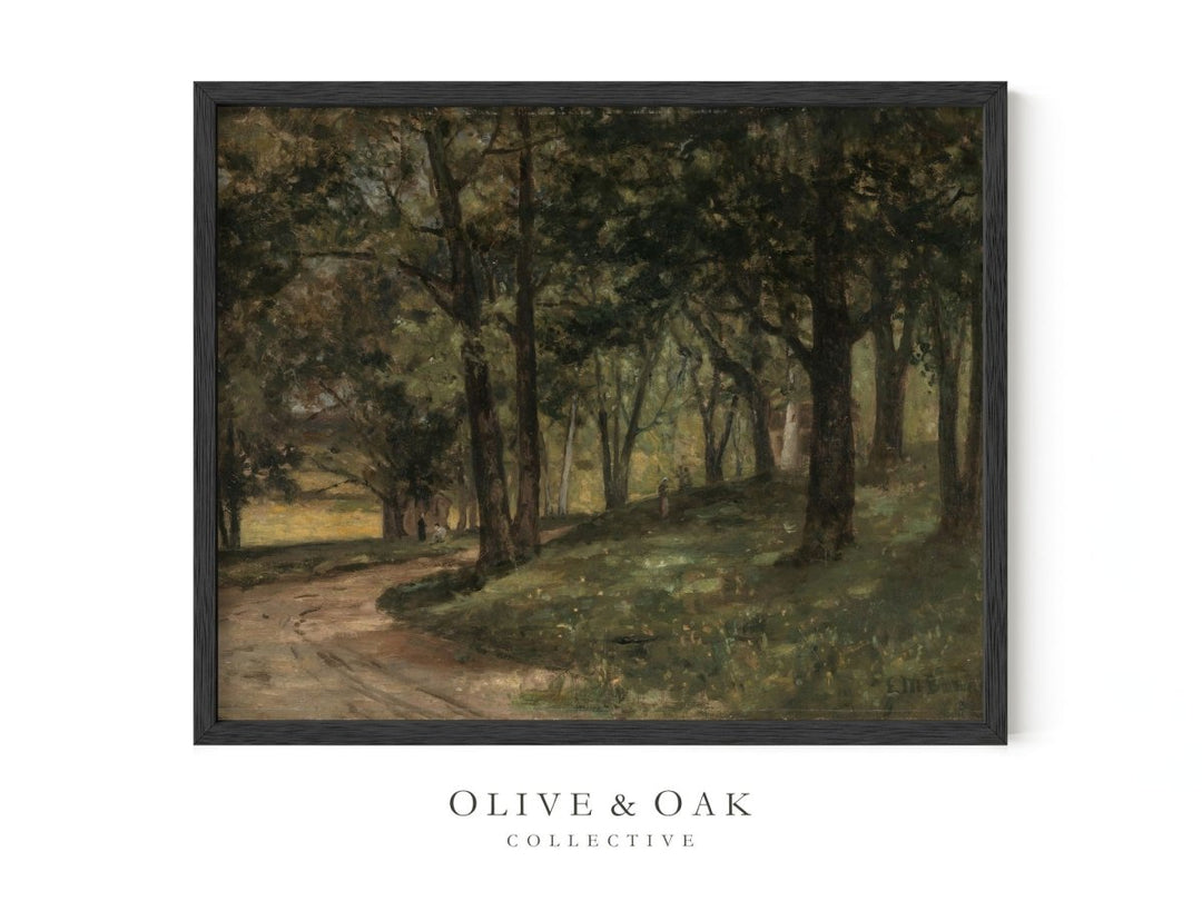 58. FOREST PATH - Olive & Oak Collective