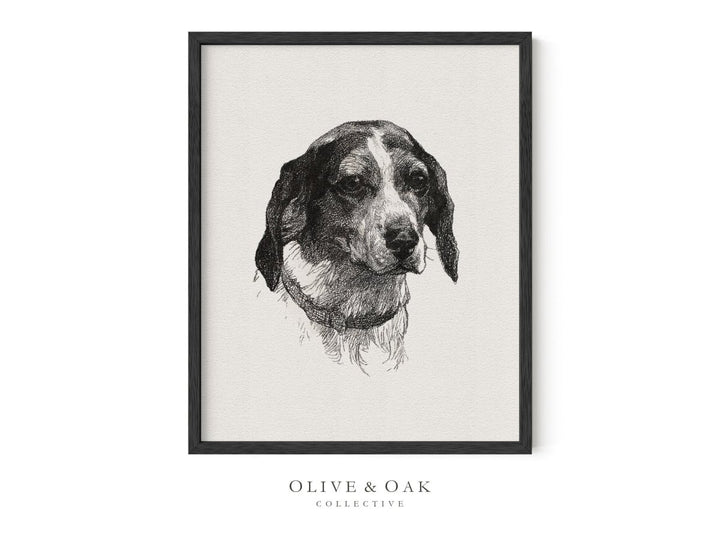 582. MAN'S BEST FRIEND - Olive & Oak Collective