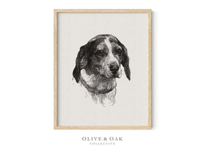 582. MAN'S BEST FRIEND - Olive & Oak Collective