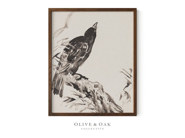 611. CROW - Olive & Oak Collective