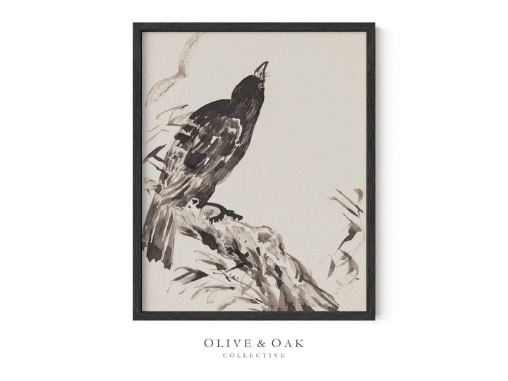 611. CROW - Olive & Oak Collective