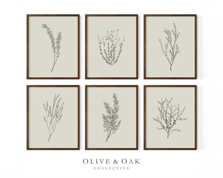 GALLERY III - Olive & Oak Collective