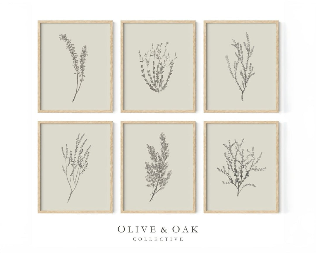 GALLERY III - Olive & Oak Collective
