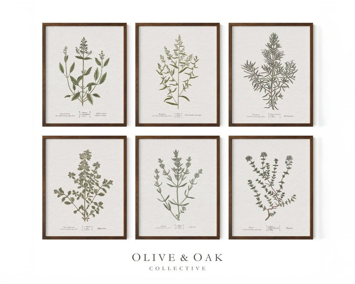 GALLERY IX - Olive & Oak Collective