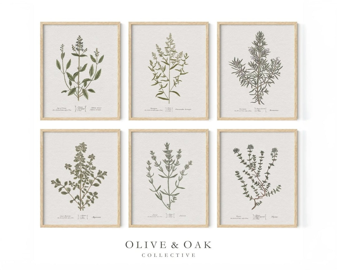 GALLERY IX - Olive & Oak Collective