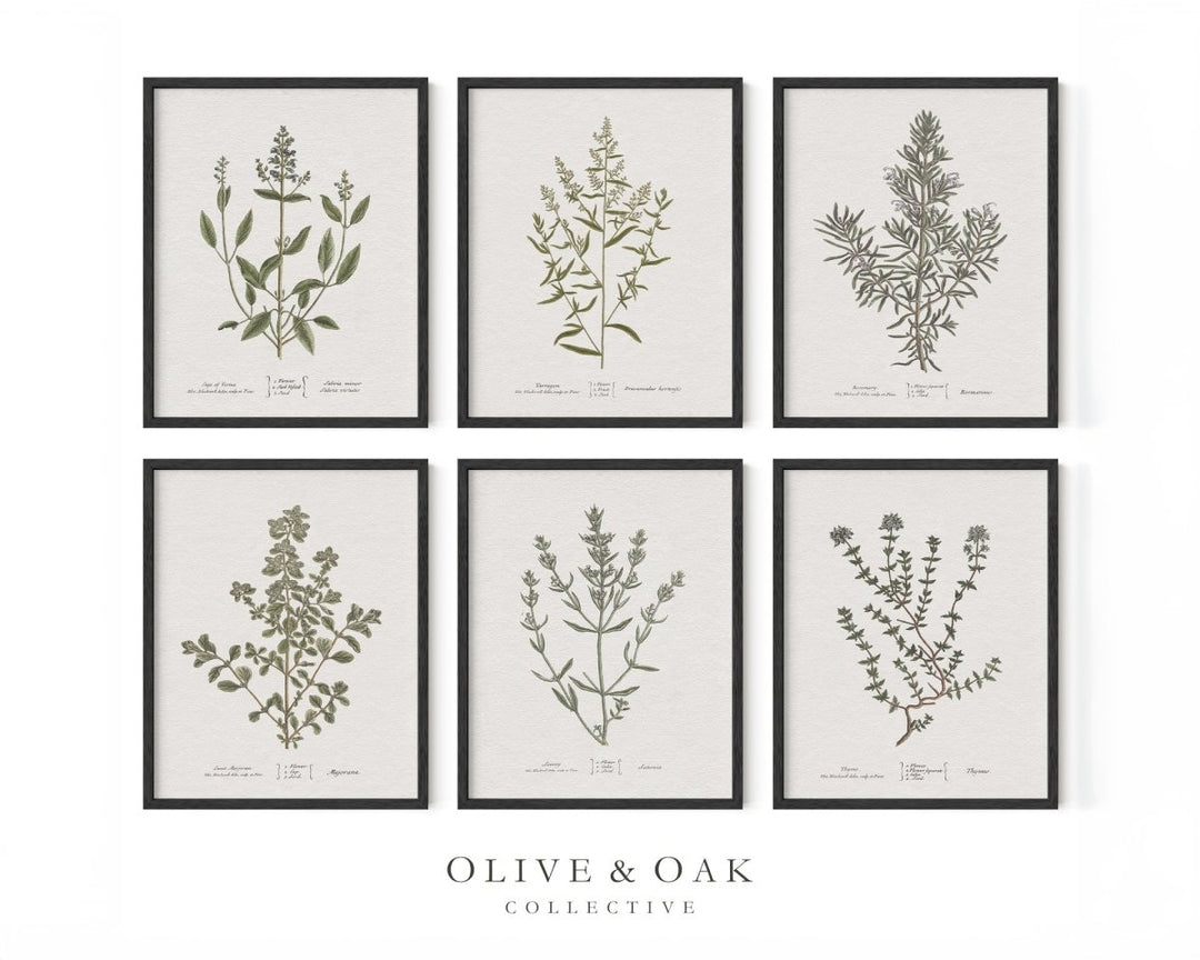 GALLERY IX - Olive & Oak Collective