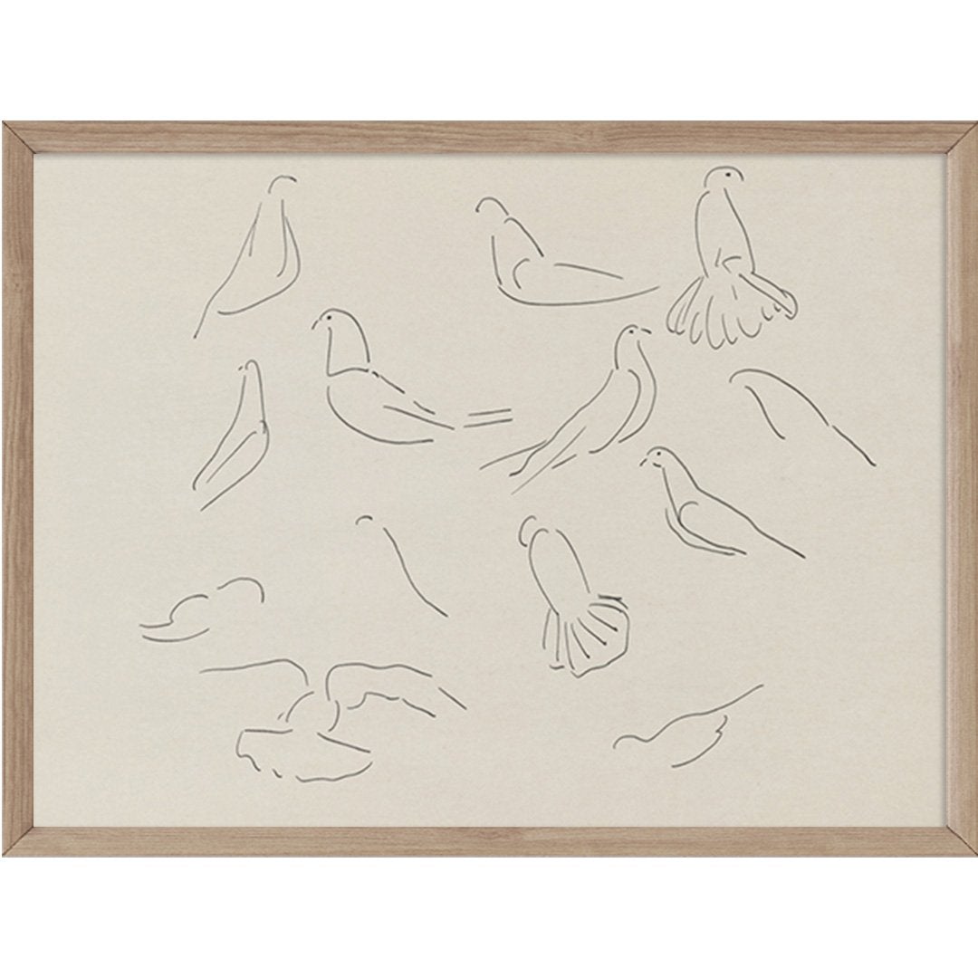 115. DOVE STUDY - Olive & Oak Collective