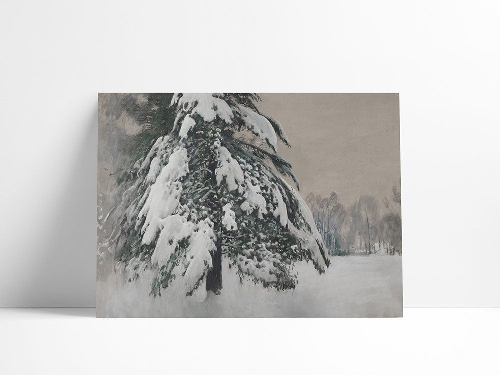 360. SNOWY PINE - Olive & Oak Collective