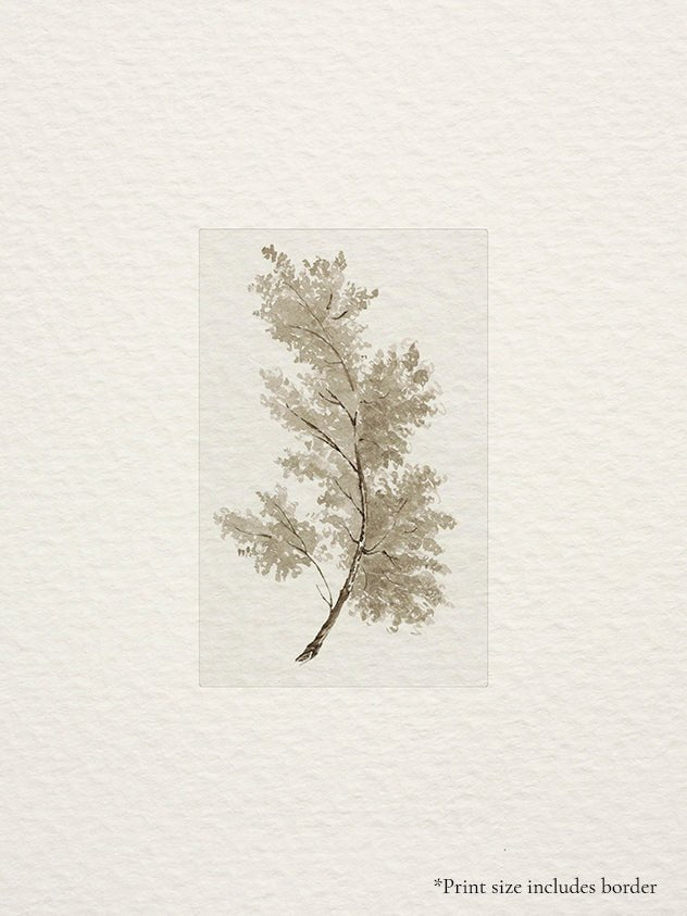 397. NEUTRAL TREES I - Olive & Oak Collective