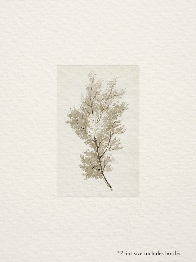 398. NEUTRAL TREES II - Olive & Oak Collective