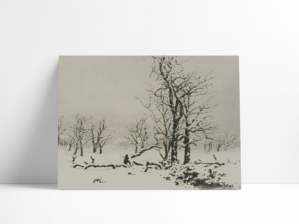 77. WINTER ETCHING - Olive & Oak Collective